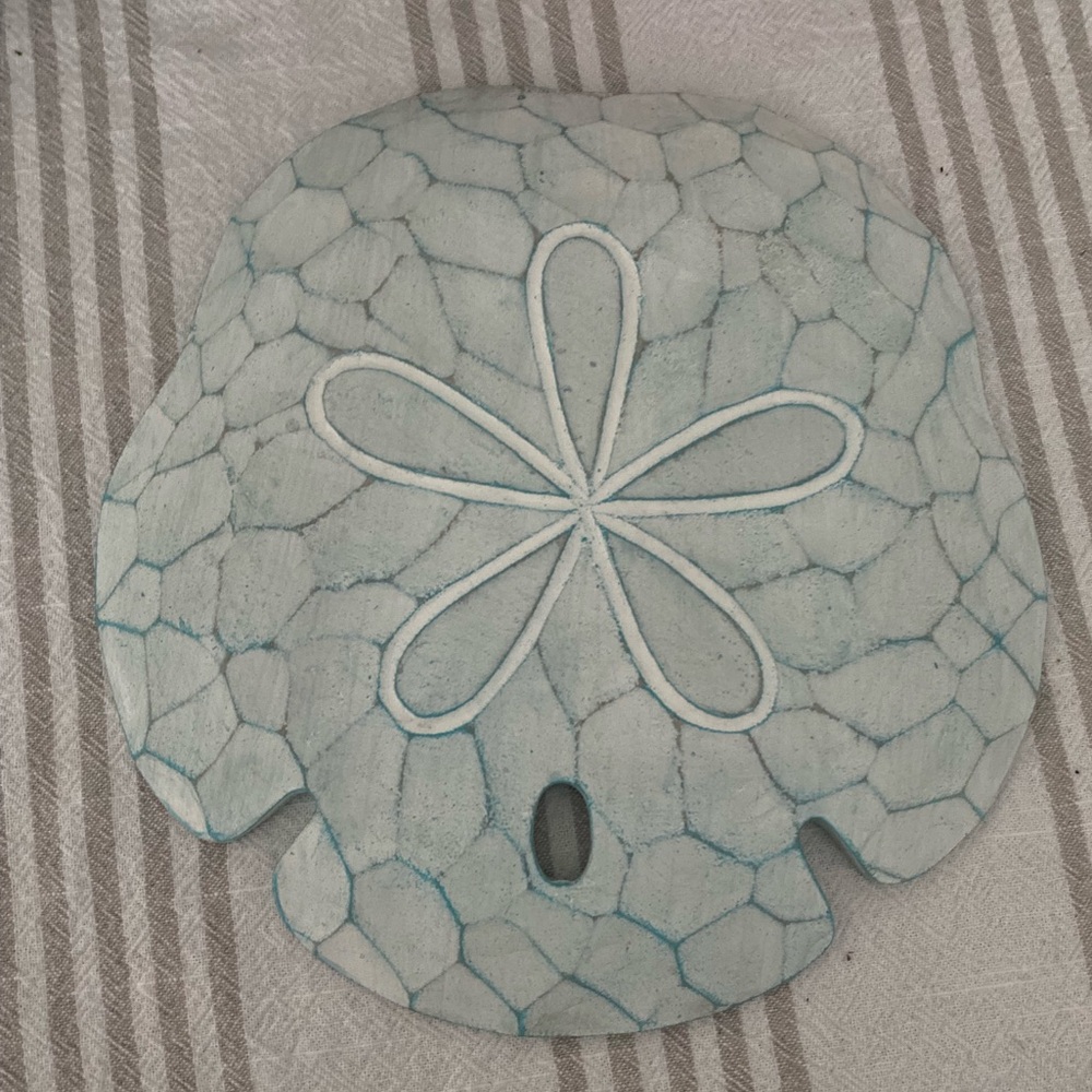 Large sand dollar wall hanging